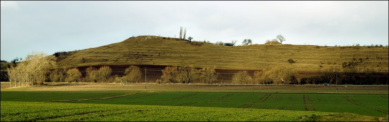 Schwellenburg vom Krähenberg gesehen (Foto: E. Schön, Januar 2015)