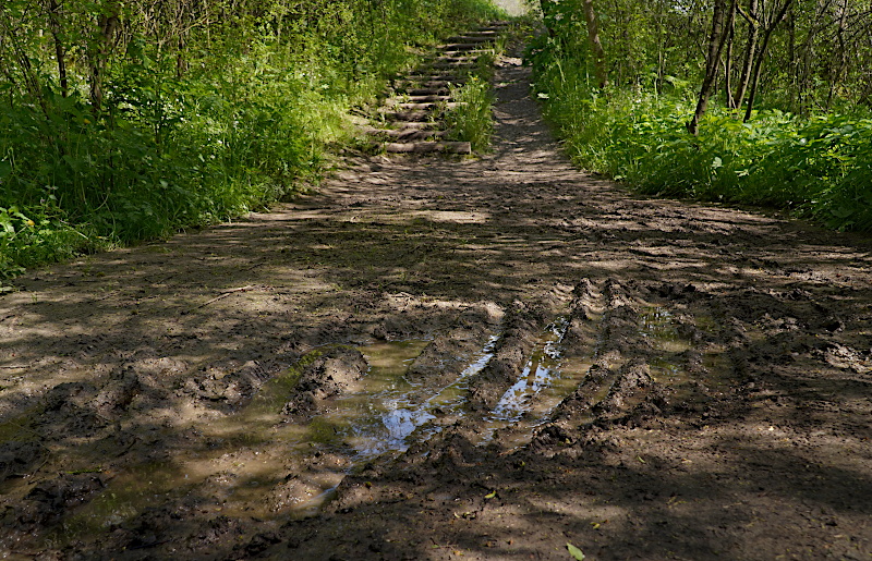 Foto von Wanderung 1 (Foto: E. Schön)