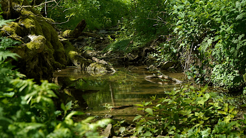 Foto von Wanderung 1 (Foto: E. Schön)