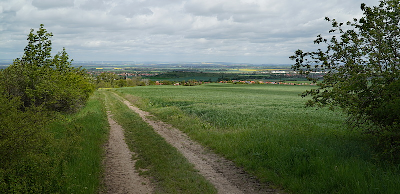 Foto von Wanderung 1 (Foto: E. Schön)