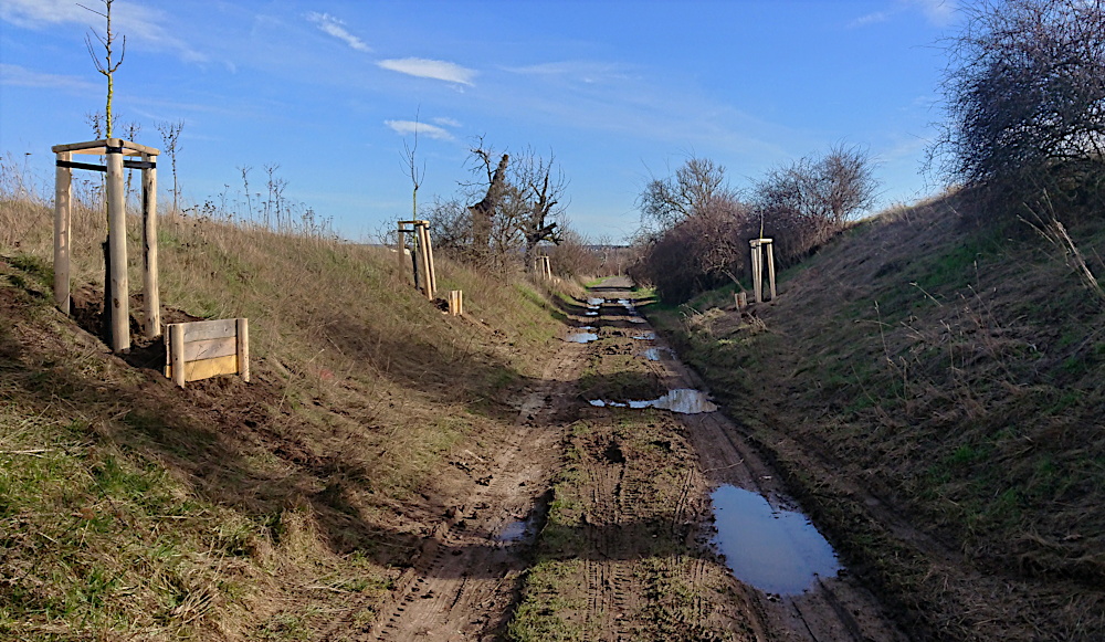 Marbacher Weg, Foto: E. Schön