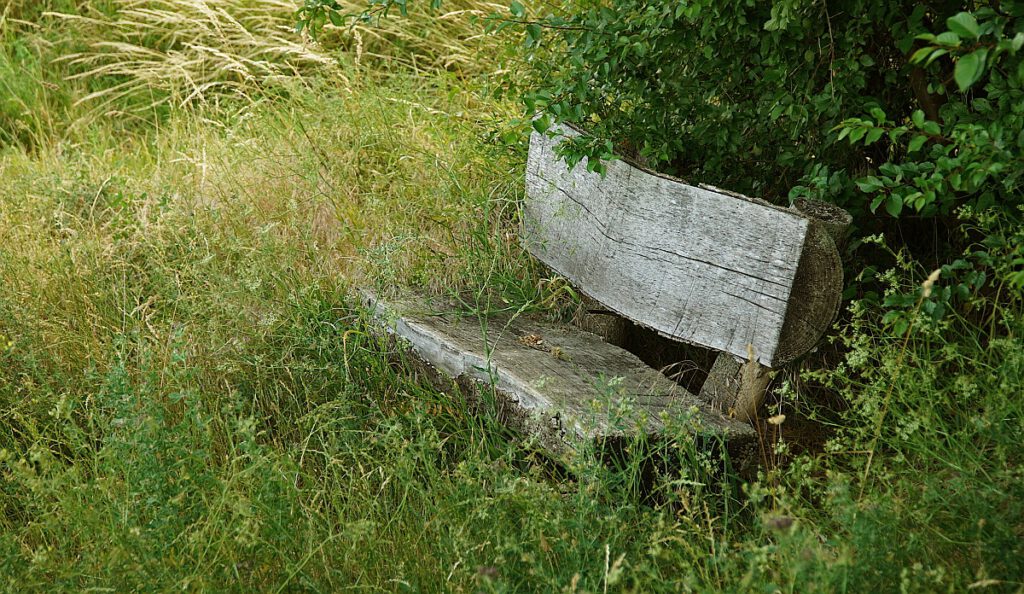 Bank mitten im Grün